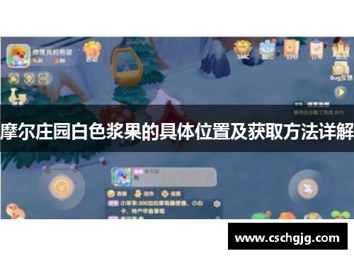 摩尔庄园白色浆果的具体位置及获取方法详解