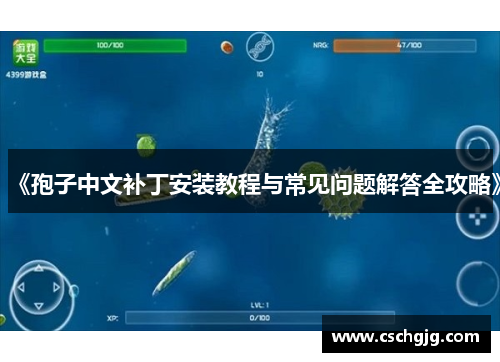《孢子中文补丁安装教程与常见问题解答全攻略》